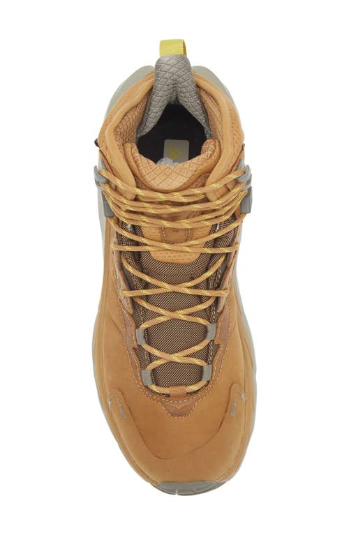 Hoka Kaha 2 Gtx Waterproof Hiking Boot In Honey/barley