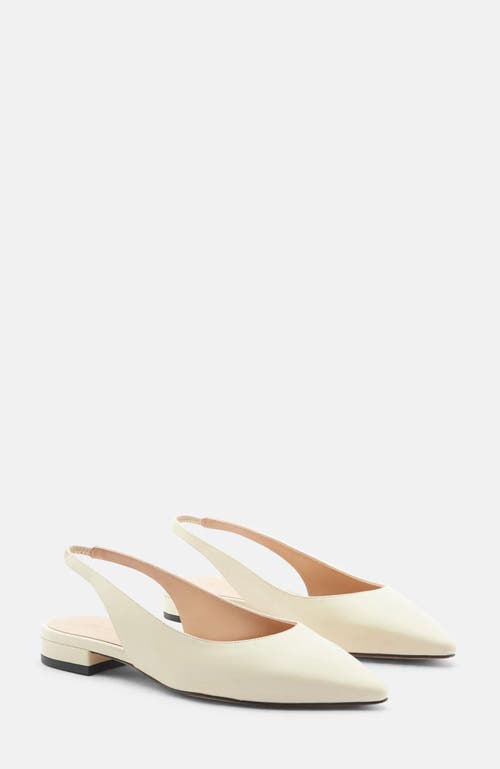 Scarosso Viviana Ballerinas