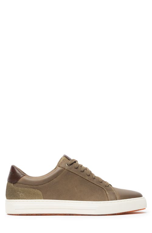 Rodd & Gunn Transit Sneaker In Sandstone