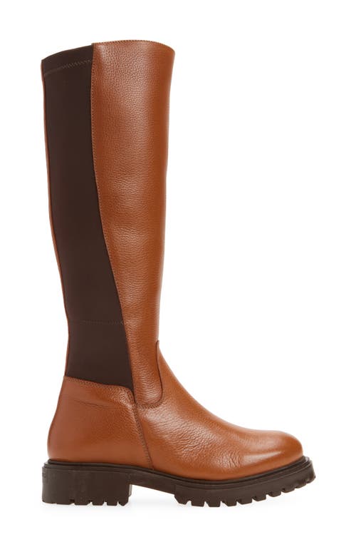 Chocolat Blu Frisco Knee High Boot In Multi