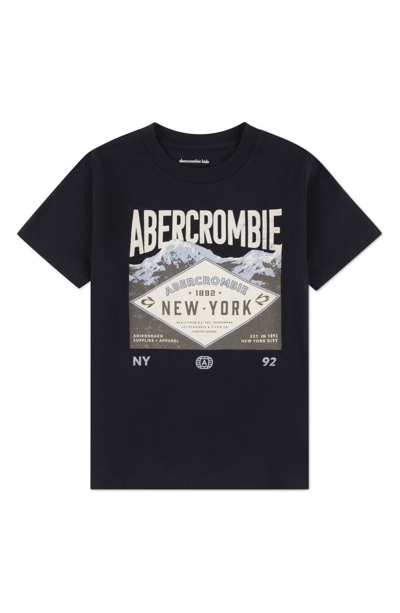 abercrombie kids Kids' Adirondacks Cotton Graphic T-Shirt, Main, color, Anthracite