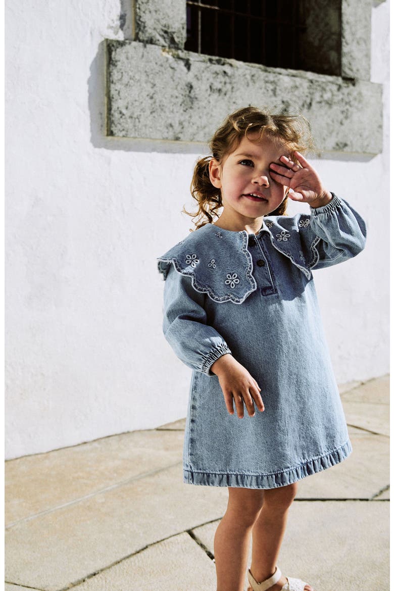 Kids' Embroidered Collar Denim Dress, Alternate, color, BLUE