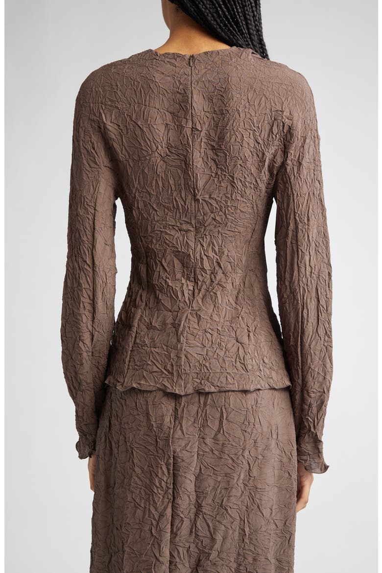 Long Sleeve Crinkle Top, Alternate, color, BROWN