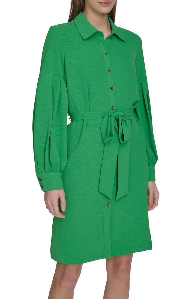Calvin Klein Long Sleeve Gauze Shirtdress, Main, color, Fern