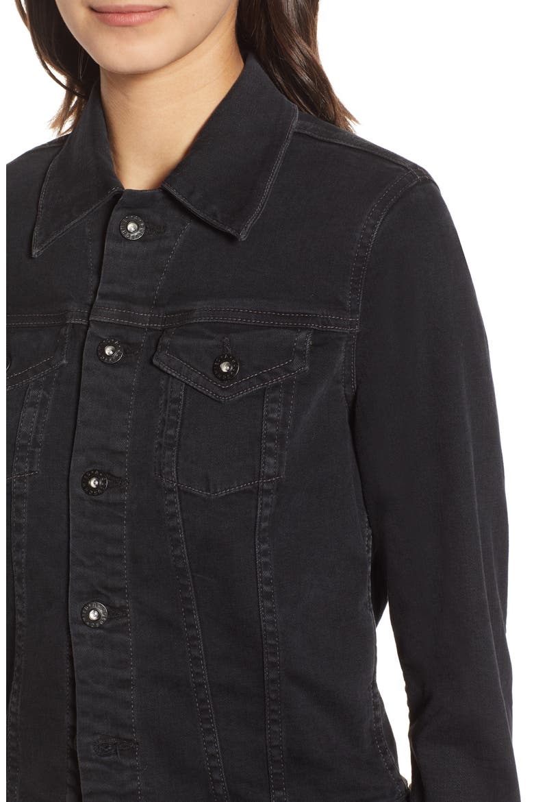 Robyn Crop Denim Jacket, Alternate, color, DUSTED UMBRA