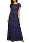 Embellished Lace A-Line Evening Gown
