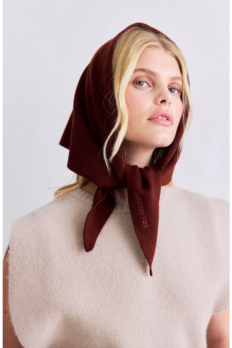 The Merino Wool Triangle Scarf, Alternate, color, DARK WALNUT BROWN