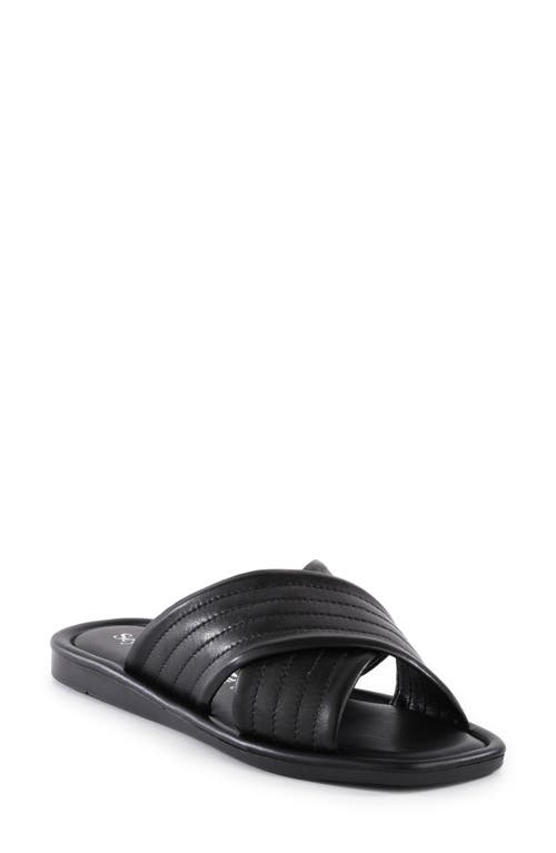 Seychelles World View Ii Slide Sandal In Black