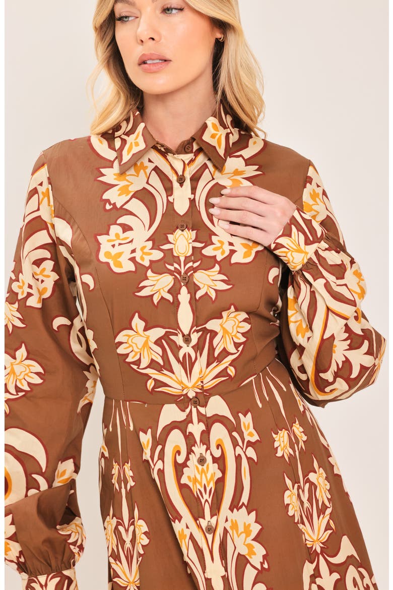 Long Sleeve Cotton Maxi Shirtdress, Alternate, color, BROWN