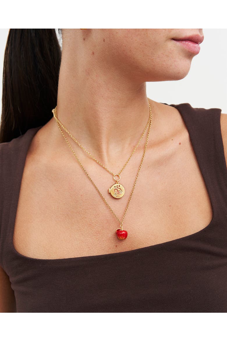 Snake & Blossom Locket Necklace, Alternate, color, Gold