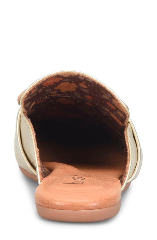 B O C By Børn Pia Buckle Mule In Champagne
