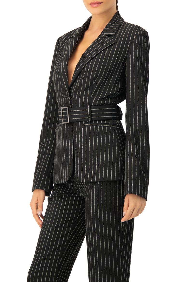 Striped Blazer With Belt, Alternate, color, Black