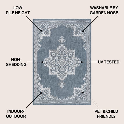 Jonathan Y Arden Vintage Casual Medallion Indoor/outdoor Area Rug