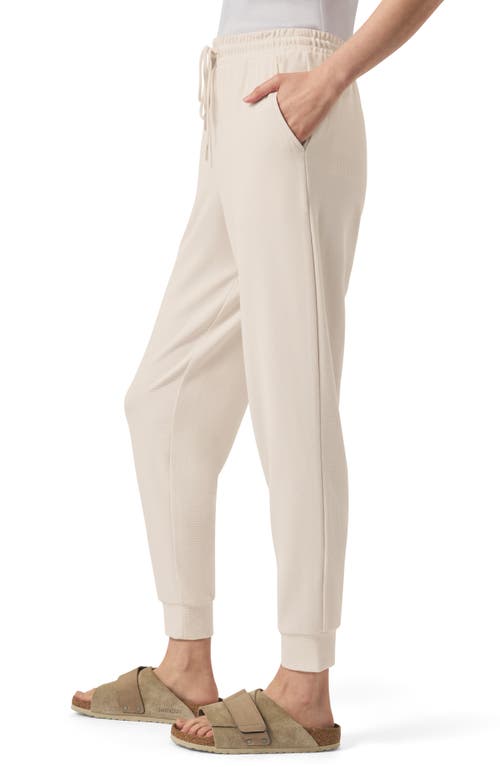 Splendid Tie Waist Waffle Stitch Scuba Joggers In Moonstone