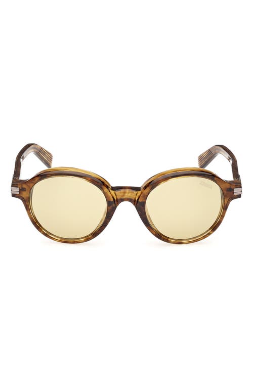 Zegna 50mm Round Polarized Sunglasses In Shiny Transparent Havana