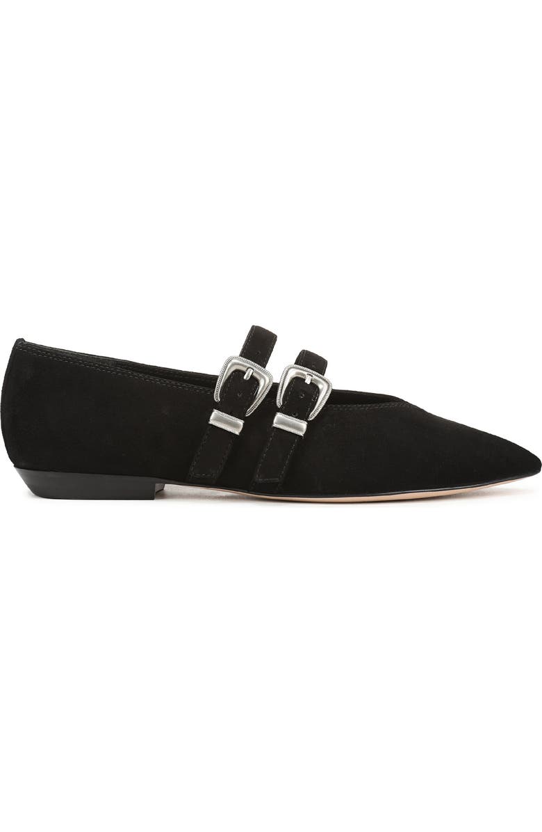 Veronica Beard Bancroft Pointed Toe Mary Jane Flat, Alternate, color,