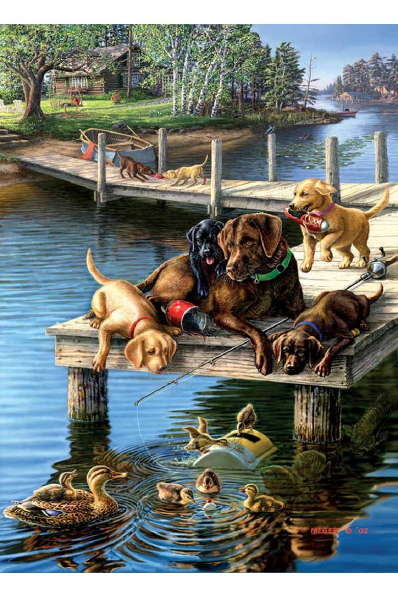Summer School 500 piece Jigsaw Puzzle for Adults Large Pieces, Alternate, color, Multicolor