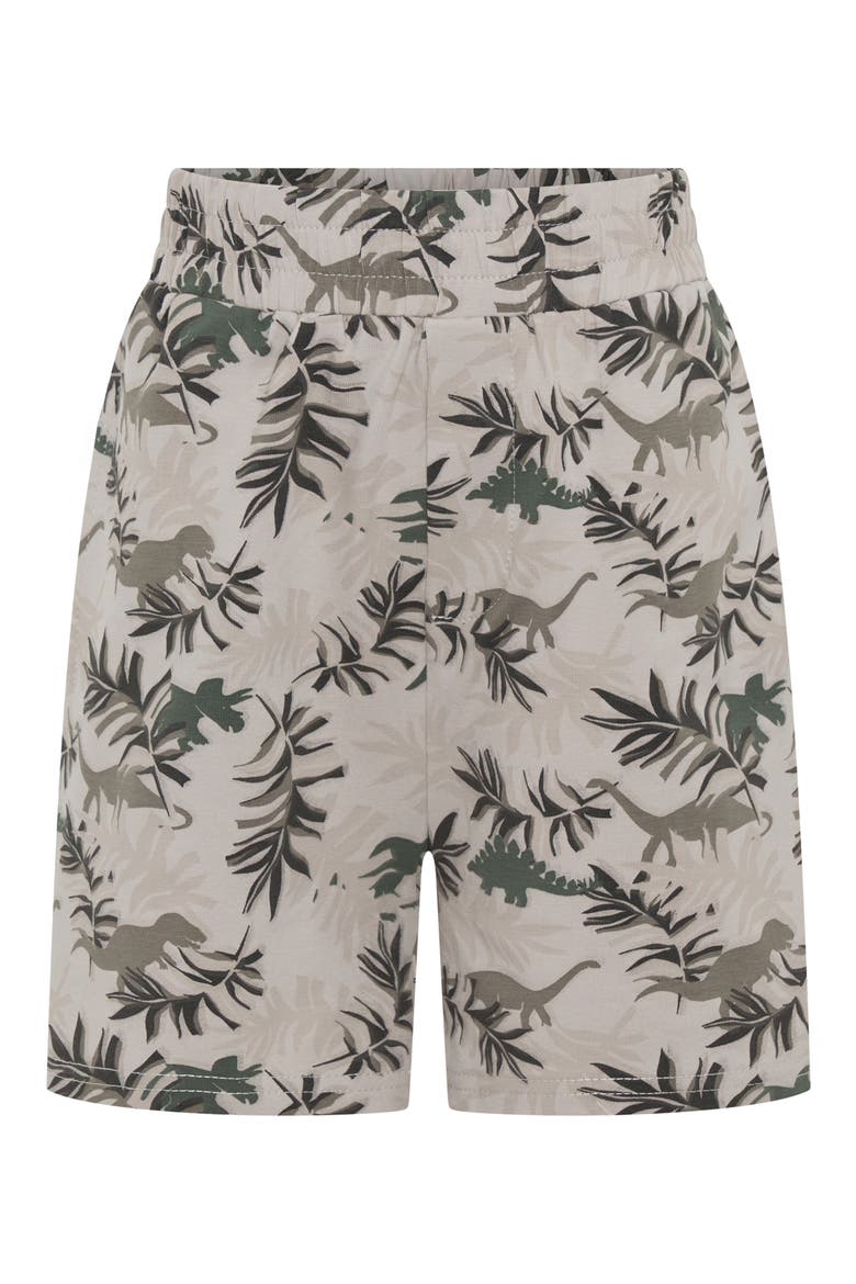 Kids' Dino Park Stretch Cotton Shorts, Main, color, MULTI BEIGE