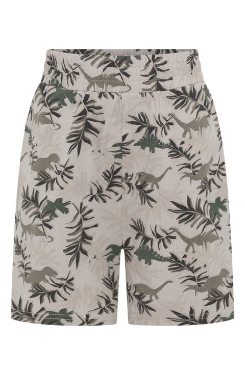 Kids' Dino Park Stretch Cotton Shorts (Toddler & Little Kid)