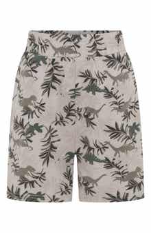 Kids' Dino Park Stretch Cotton Shorts