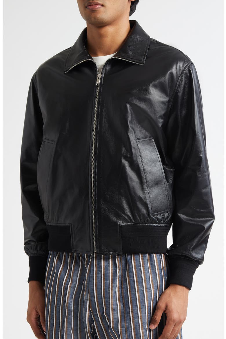 Lambskin Leather Blouson Jacket, Alternate, color, 1000 BLACK