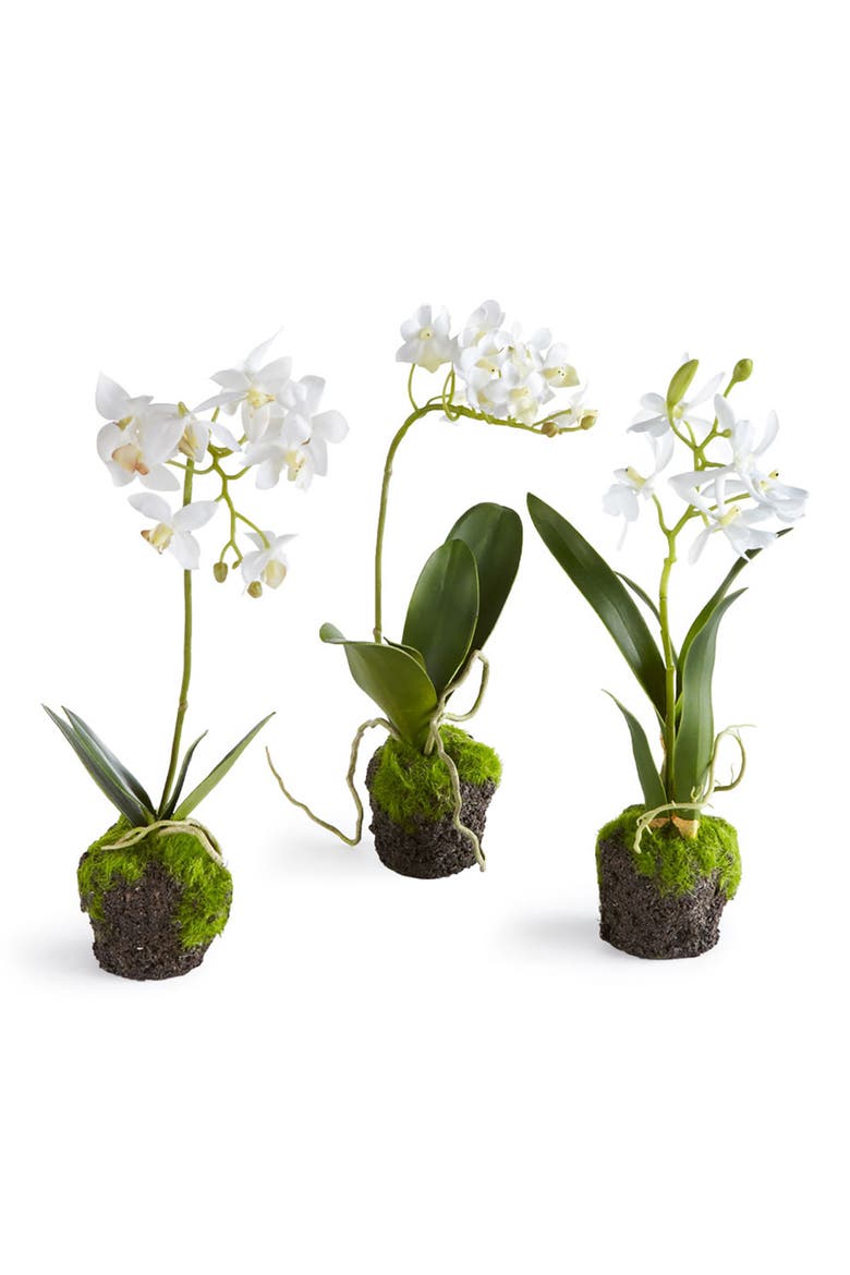 Dendrobium Orchid Artificial Drop-Ins 12", Set Of 3, Main, color, White
