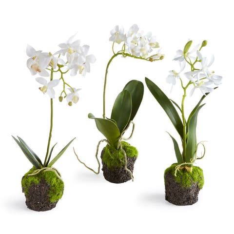 Dendrobium Orchid Artificial Drop-Ins 12", Set Of 3