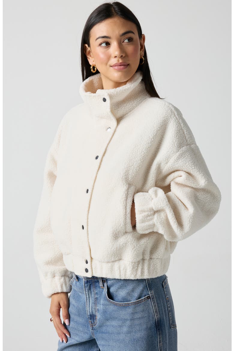 Teddy High Pile Fleece Jacket, Alternate, color, JET STREAM