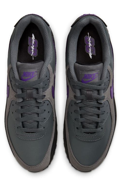 Nike Air Max 90 Sneaker In Gray