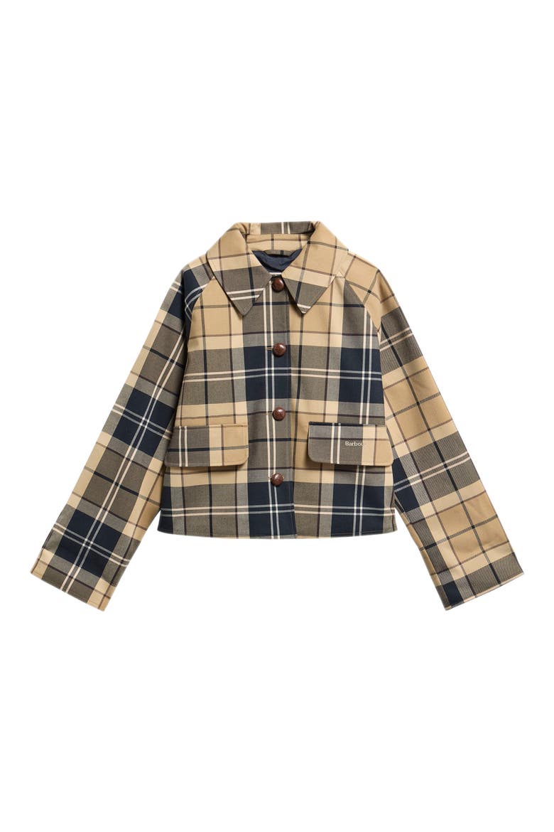 Delilah Checked Showerproof Jacket, Alternate, color, BIRCHWOOD DRESS