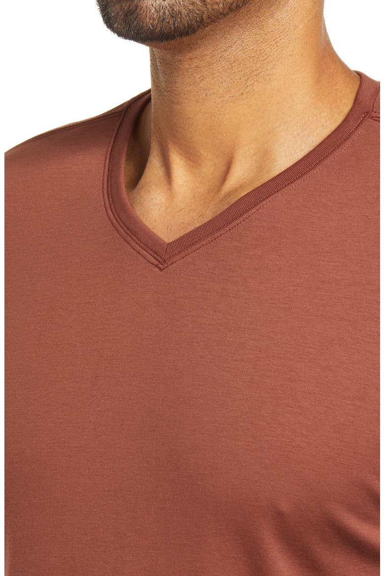 Georgia Long Sleeve V-Neck T-Shirt, Alternate, color, RUST