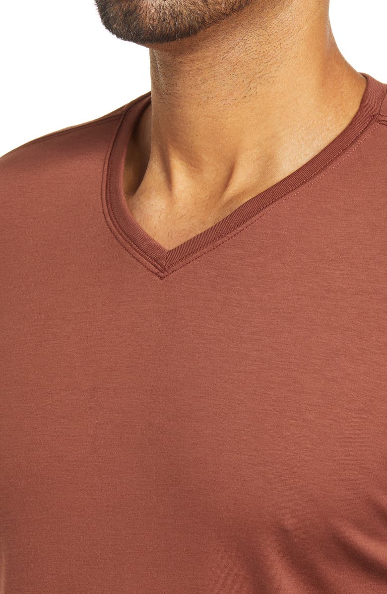 Robert Barakett Georgia Long Sleeve V-Neck T-Shirt, Alternate, color, 