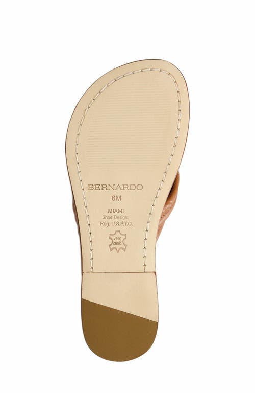 Shop Bernardo Footwear Miami Thong Sandal In Mahogany