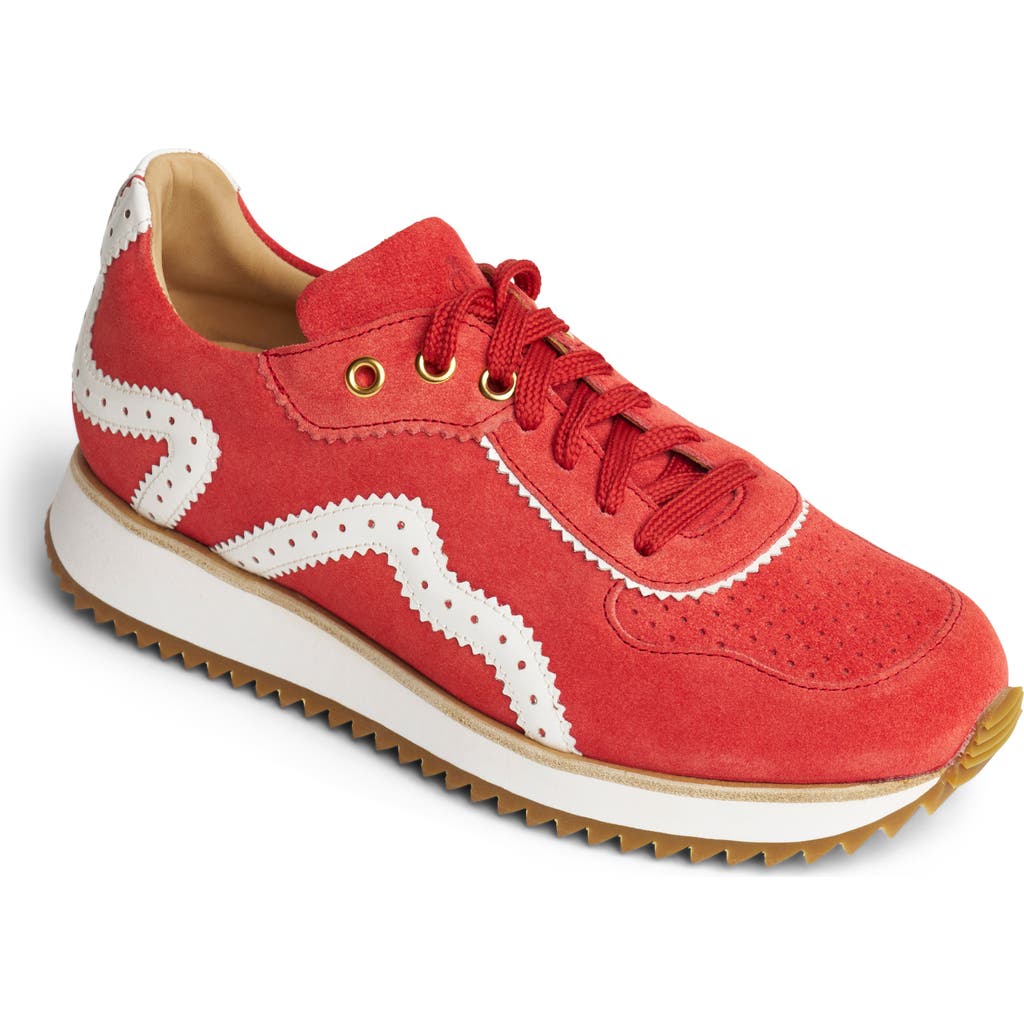 THE OFFICE OF ANGELA SCOTT THE OFFICE OF ANGELA SCOTT THE REMI SNEAKER