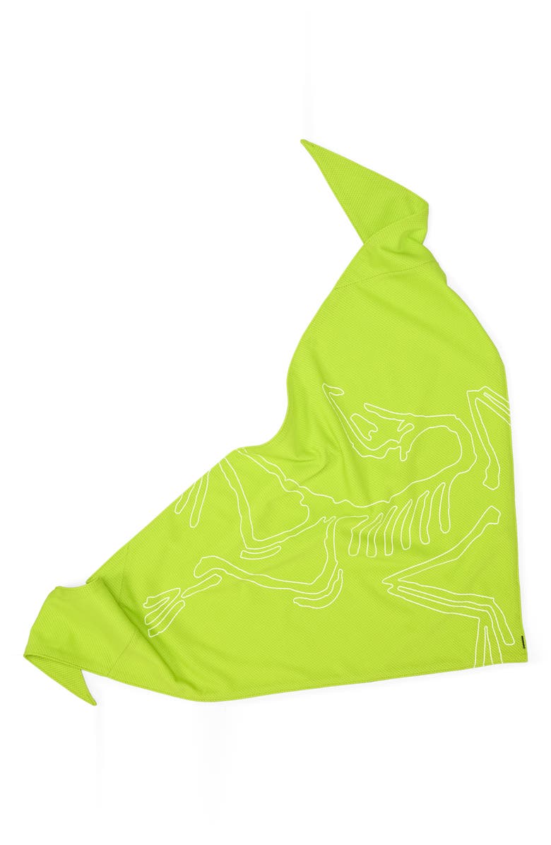 Arc'teryx Sinsolo Bandana, Main, color, Mantis