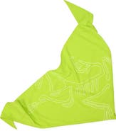 Arc'teryx Sinsolo Bandana