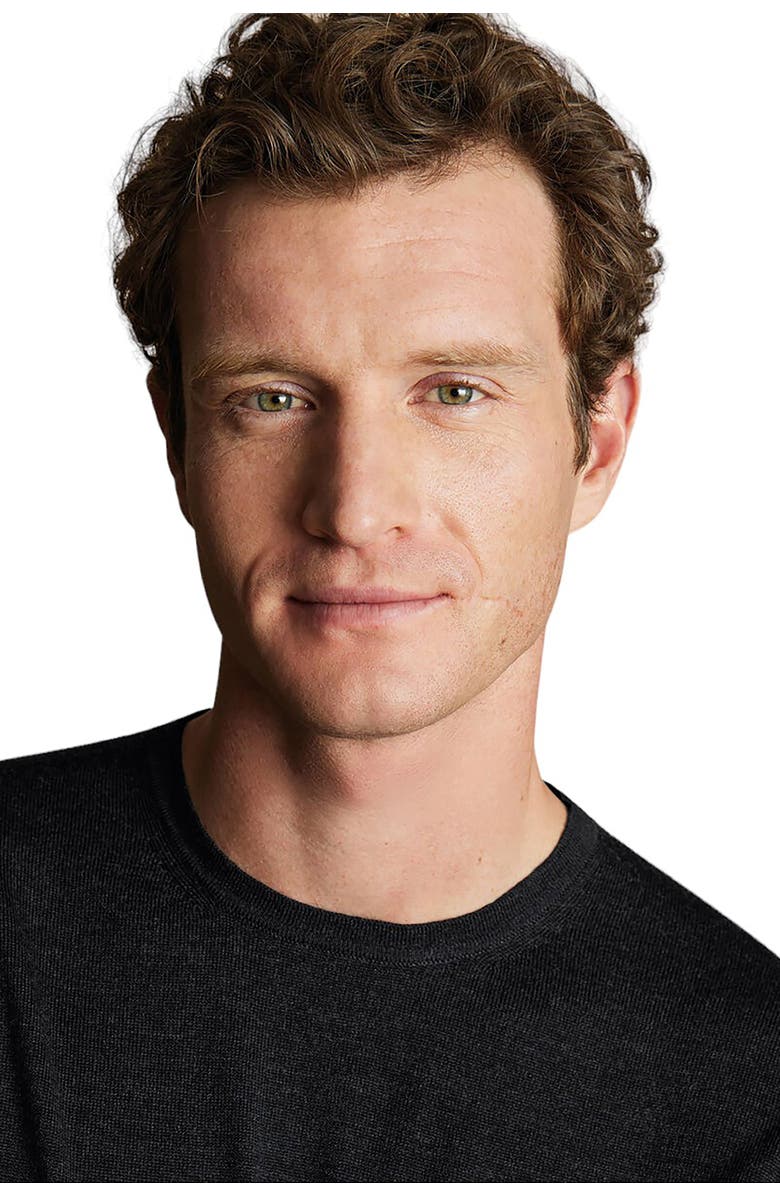 Charles Tyrwhitt Pure Merino Crew Neck Sweater, Alternate, color, 