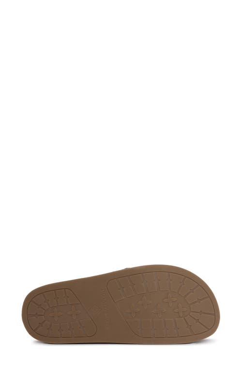 Shop Donald Pliner Jesmin Platform Fisherman Sandal In Camel/platino