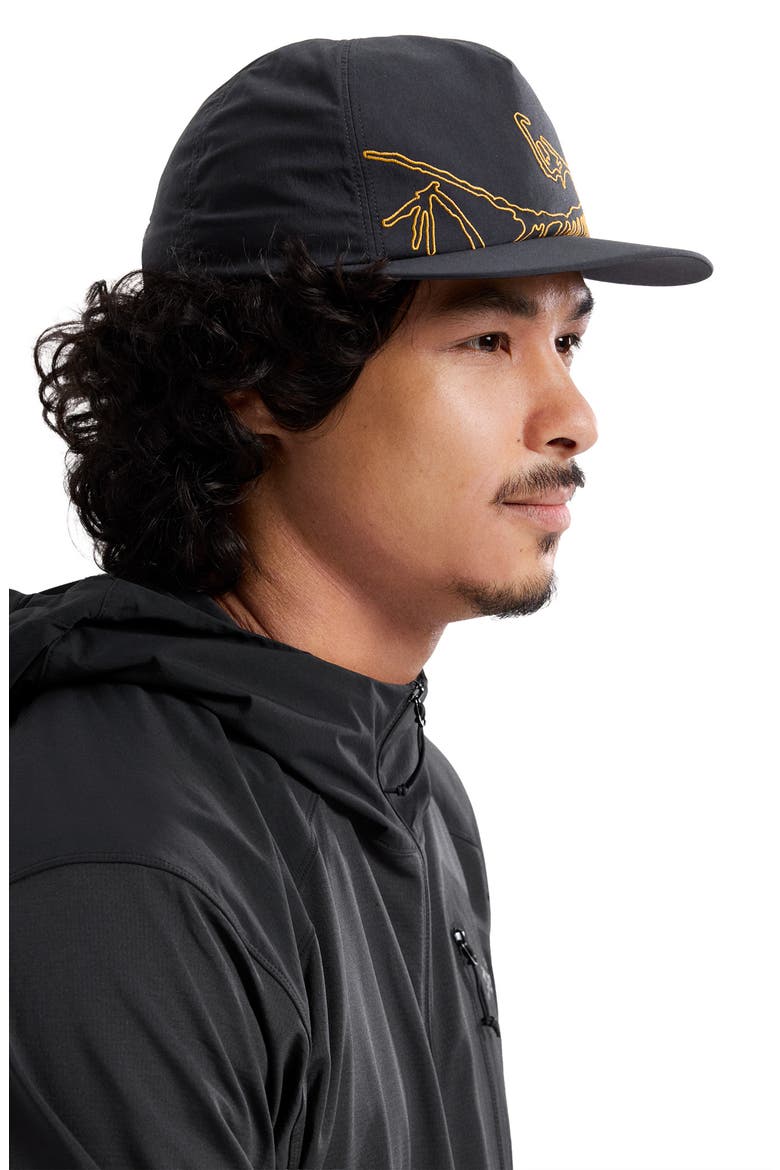 Silex Embroidered Snapback Baseball Cap, Alternate, color, 24K BLACK