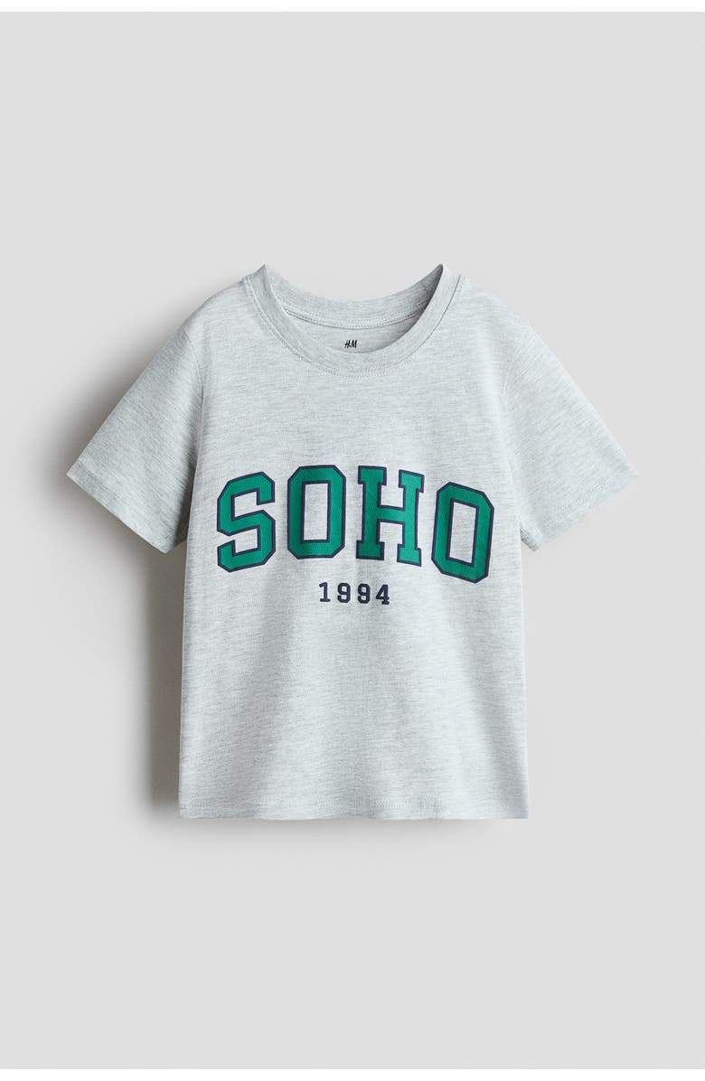 H&M Printed Cotton T-shirt, Main, color, Light Gray Melange/Soho