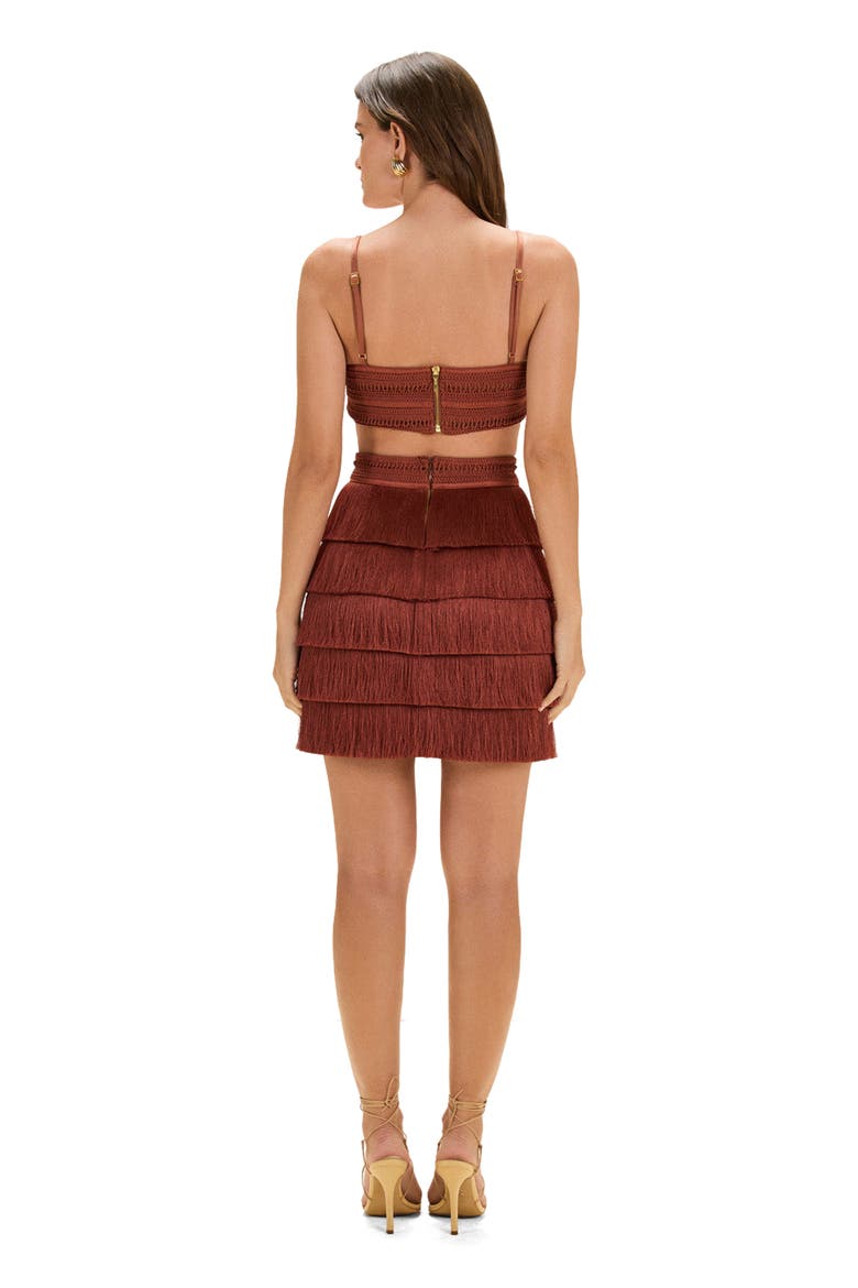 Amethyst Fringe Mini Dress, Alternate, color, BROWN