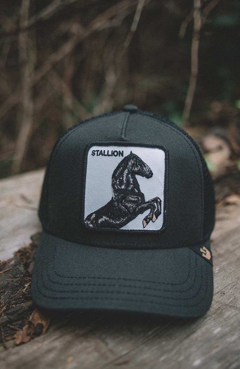 Goorin Bros. Stallion Trucker Hat, Alternate, color,