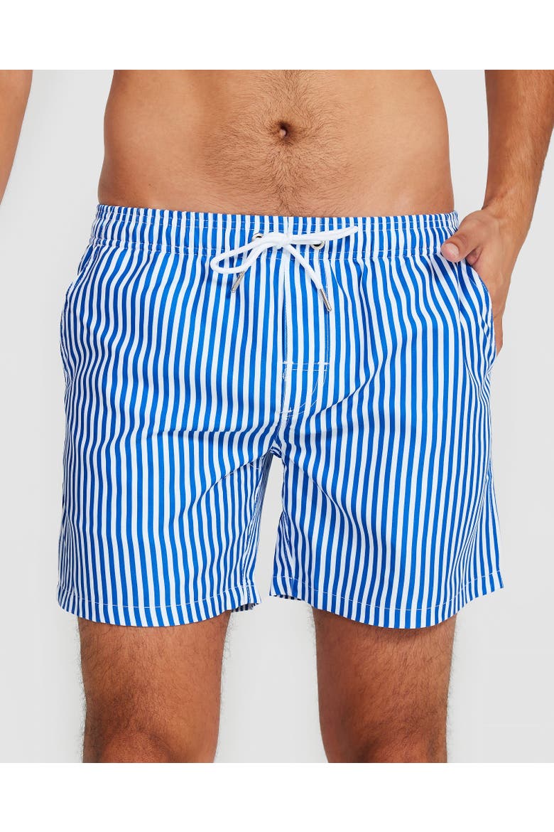 Corfu Swim Short, Main, color, Blue & White Pin Stripe