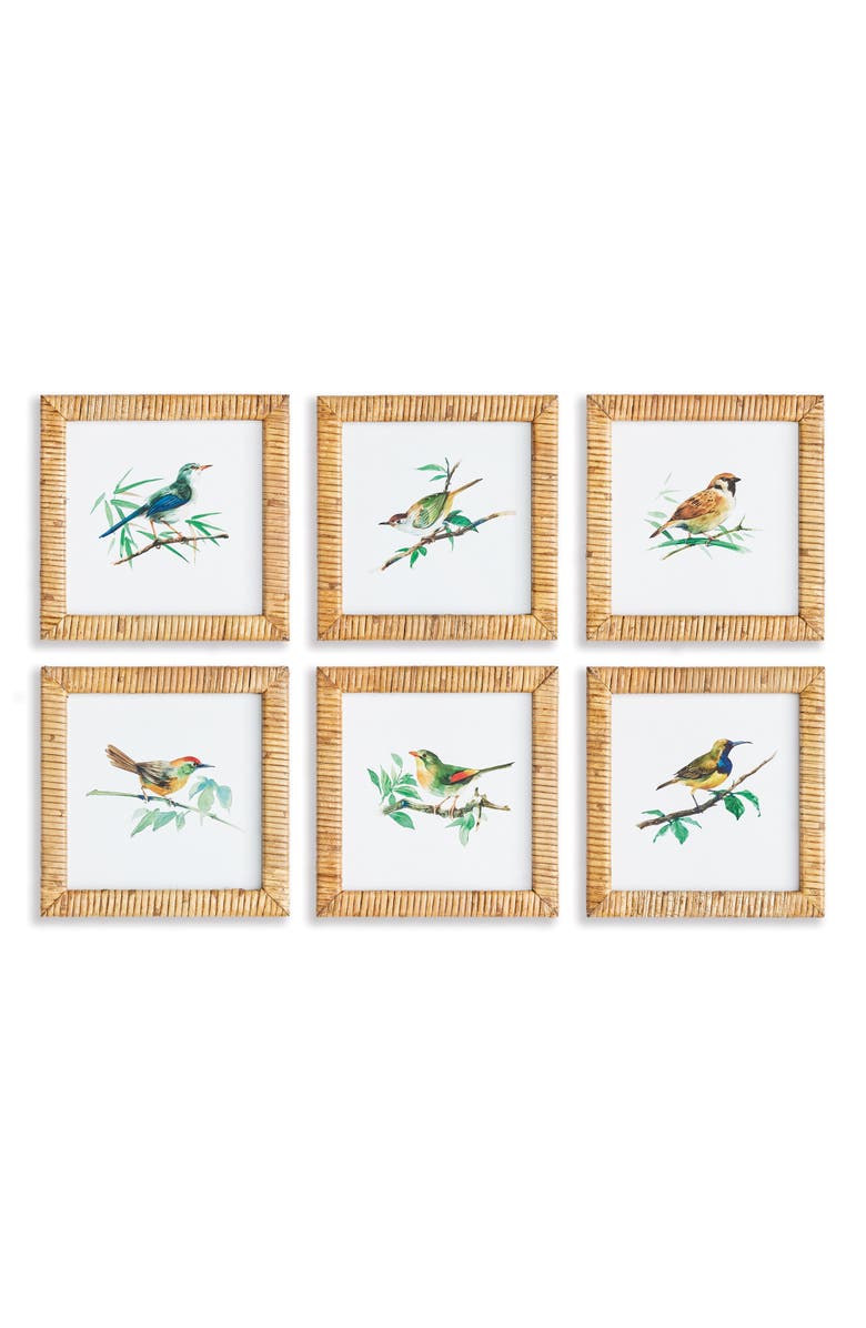 Napa Home & Garden Songbird Petite Prints St/6, Main, color, Green