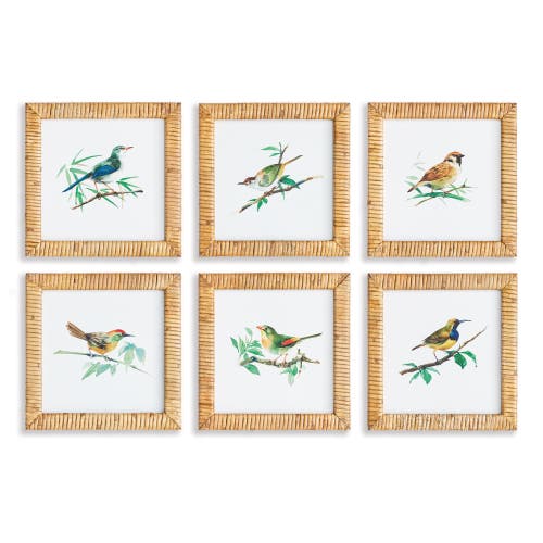 Napa Home & Garden Songbird Petite Prints St/6 In Green