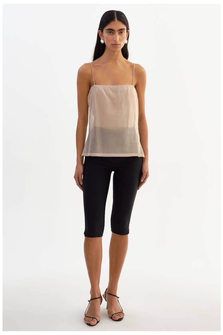 Delphine | Sheer Top, Alternate, color, Beige