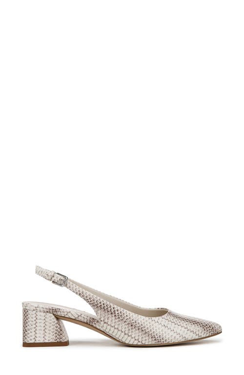 Franco Sarto Women's Kate Pointed Toe Slingback Pumps In Silver