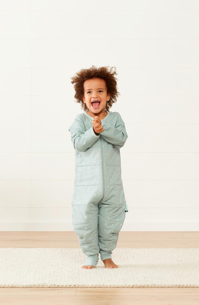 ergoPouch 2.5 TOG TOG One-Piece Sleep Suit, Alternate, color, Sage