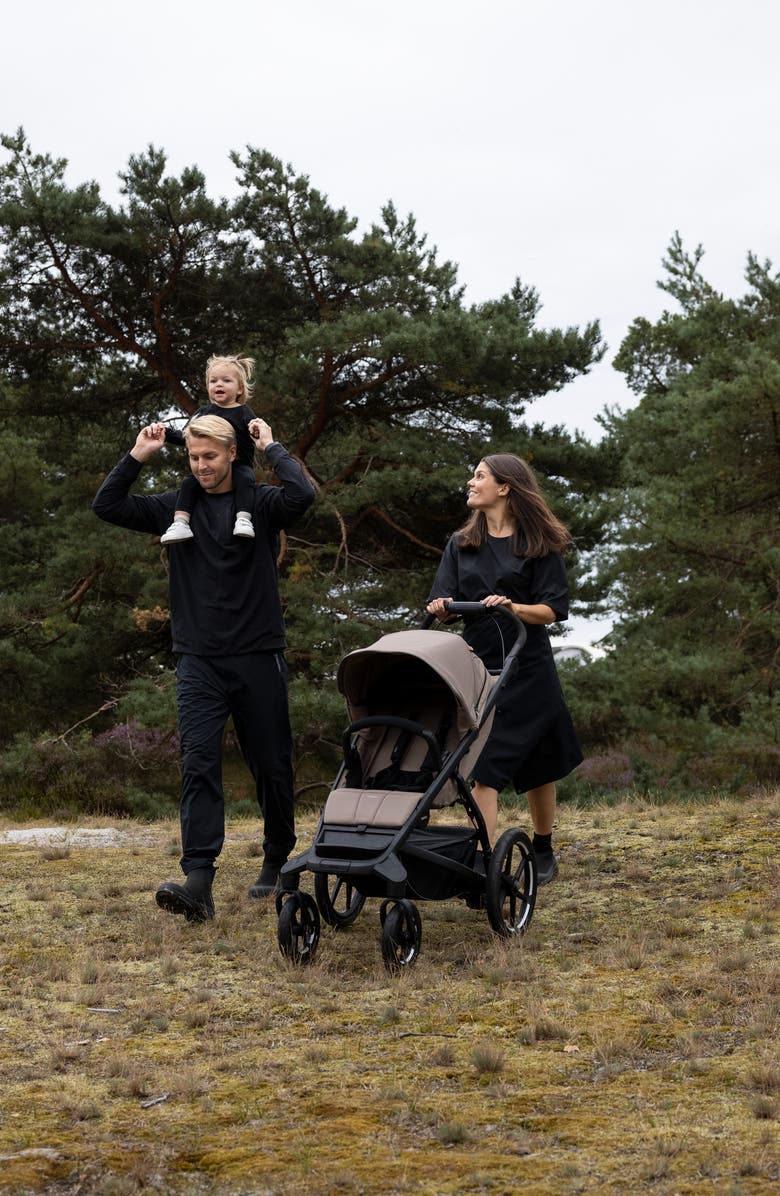 Thule Urban Glide 4-Wheel All-Terrain Stroller, Alternate, color, Mid Blue