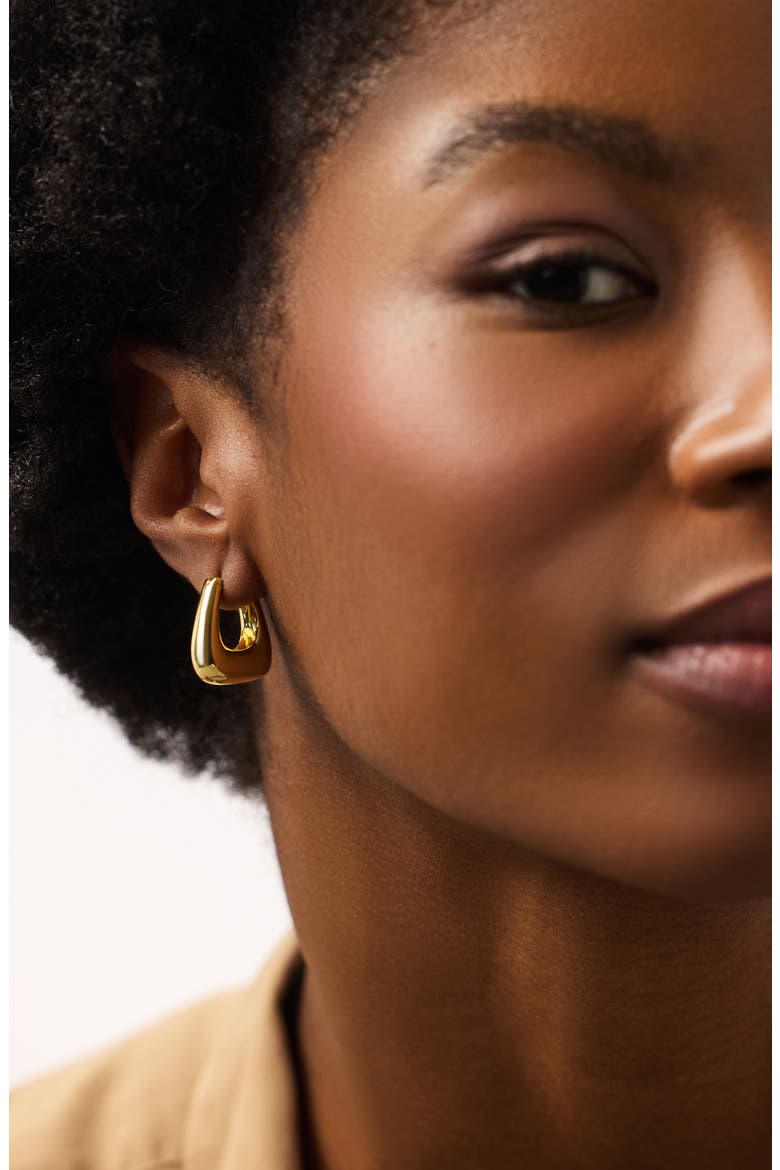 Chunky Gold Hoop Earrings - Colene, Alternate, color, Gold